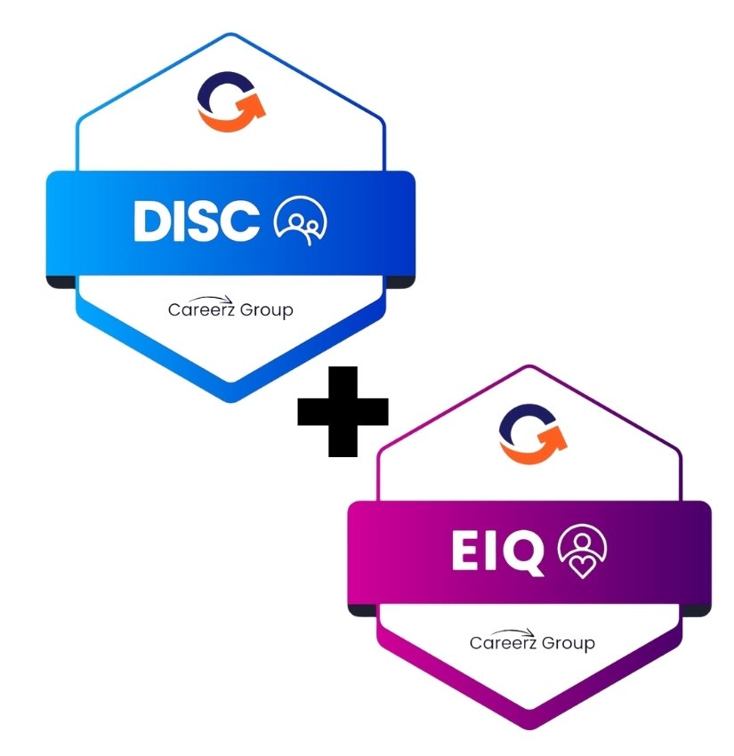 DISC and EIQ Assessments 825×850