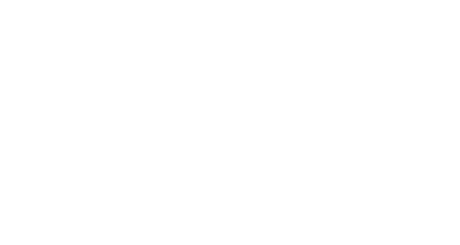 Make every manager a multiplier with Careerz Workforce Coaching