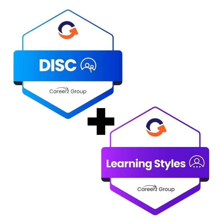 DISC and Learning Styles Assessment 825×850